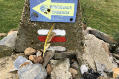 09.08_To-Roncesvalles4