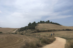 09.15_To-Los-Arcos51