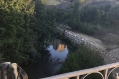 09.28_Ledigos2