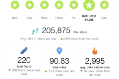 09.30_FitbitSteps
