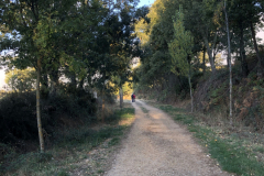10.04_Molinaseca2