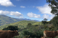 10.04_To-Molinaseca