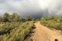 10.04_To-Molinaseca3