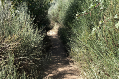 10.04_To-Molinaseca9