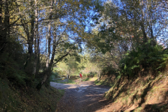 10.10_To-Triacastela5
