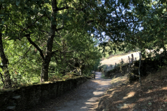 10.12-13_To-Portomarin8