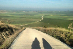 Camino