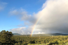 rainbow