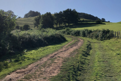 Sept 7  Pyrenees