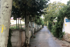 Sept 15  Arcos