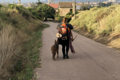 Sept 17  A woman and her dog